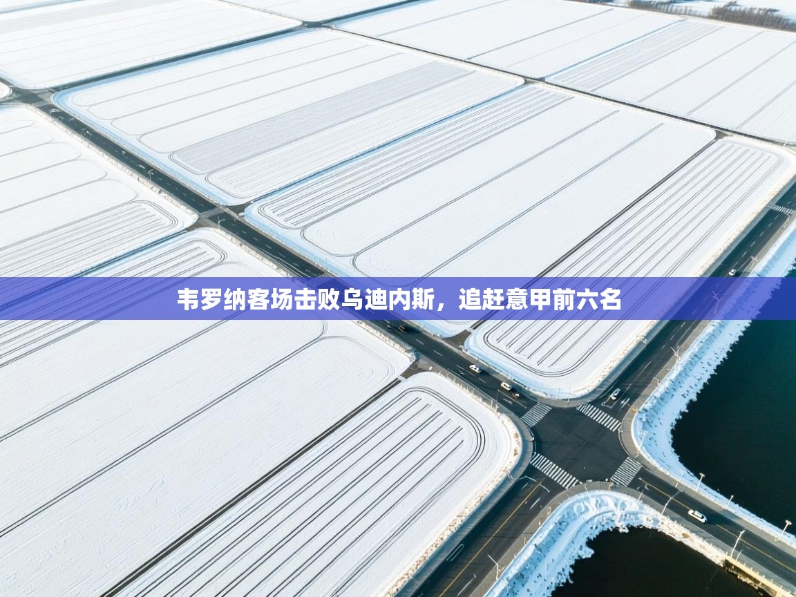 韦罗纳客场击败乌迪内斯，追赶意甲前六名  第2张