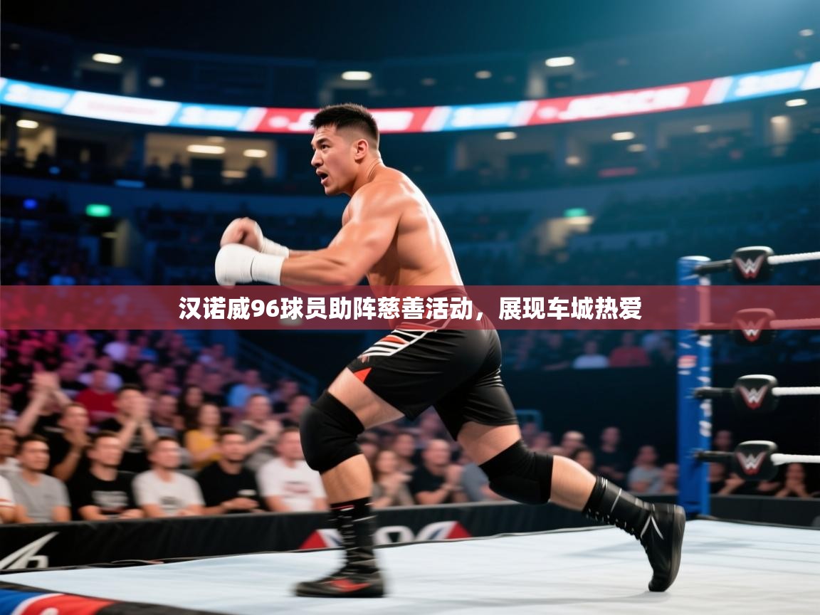 汉诺威96球员助阵慈善活动，展现车城热爱  第1张