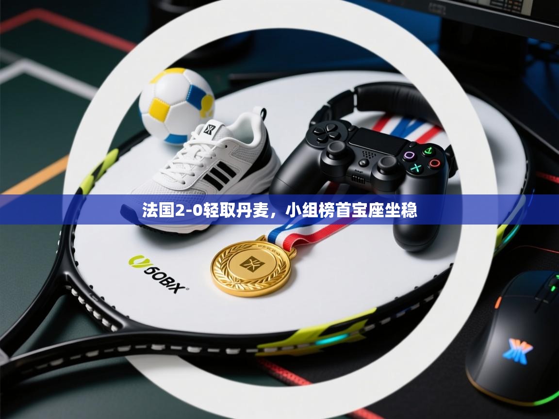 法国2-0轻取丹麦,小组榜首宝座坐稳 第1张