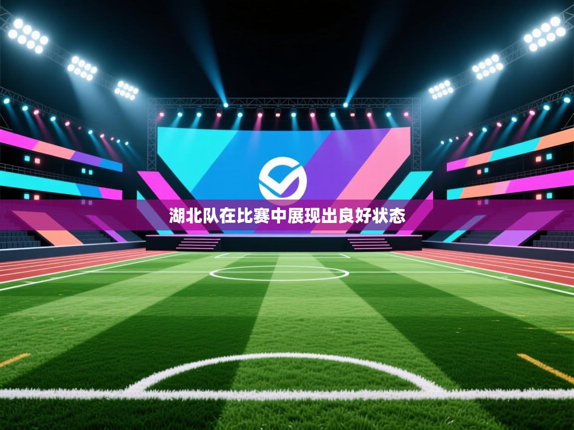 湖北队在比赛中展现出良好状态  第2张
