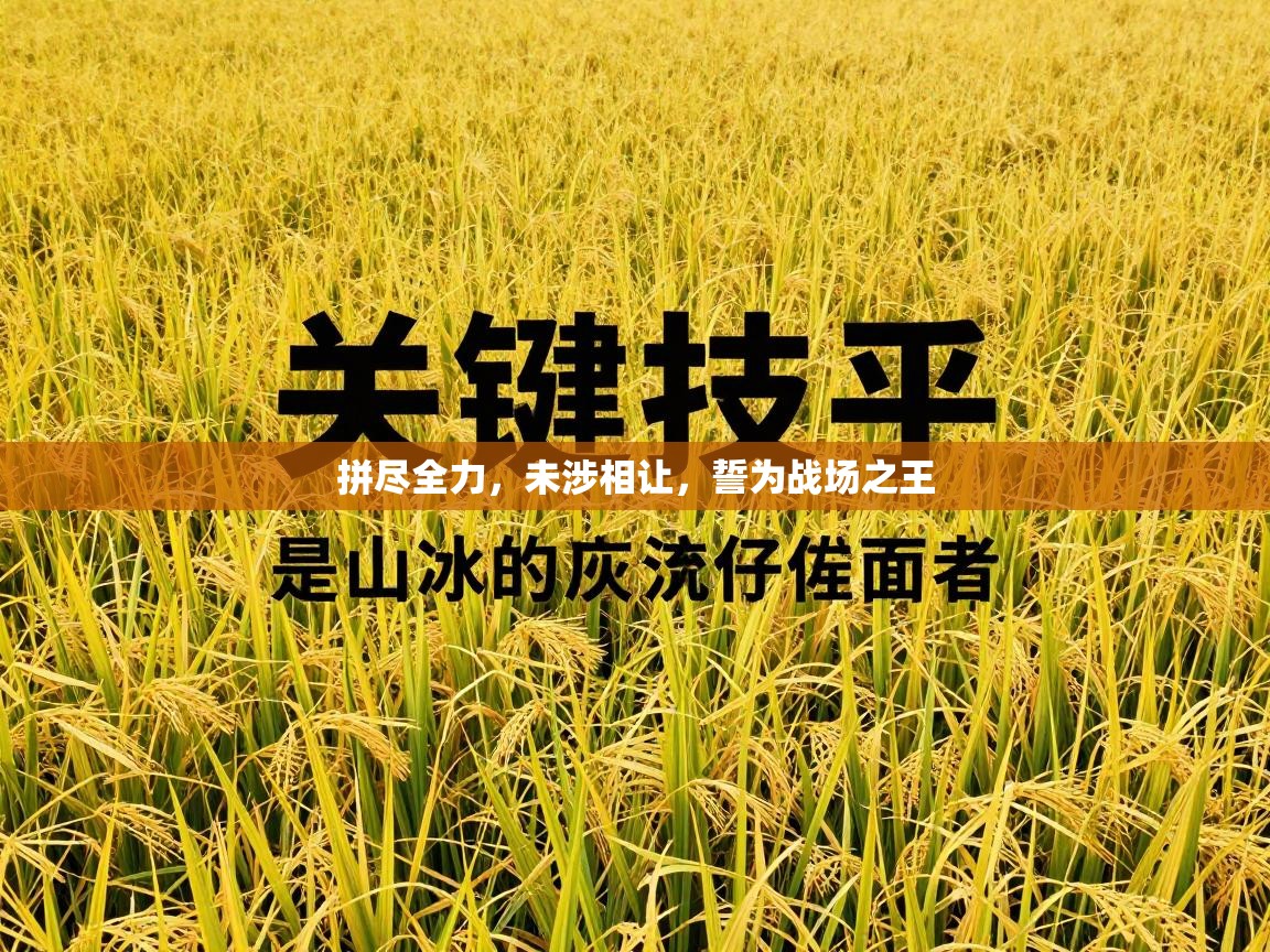 拼尽全力，未涉相让，誓为战场之王