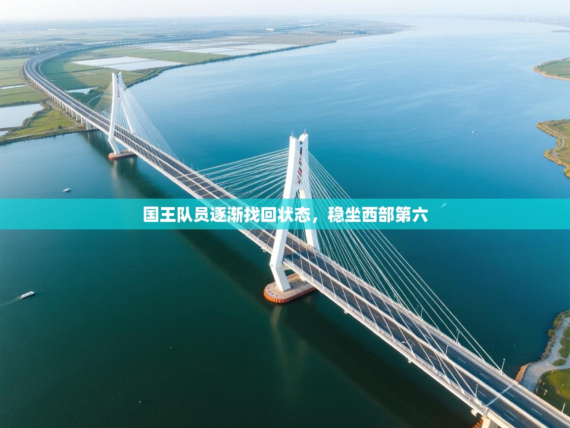 国王队员逐渐找回状态，稳坐西部第六  第1张