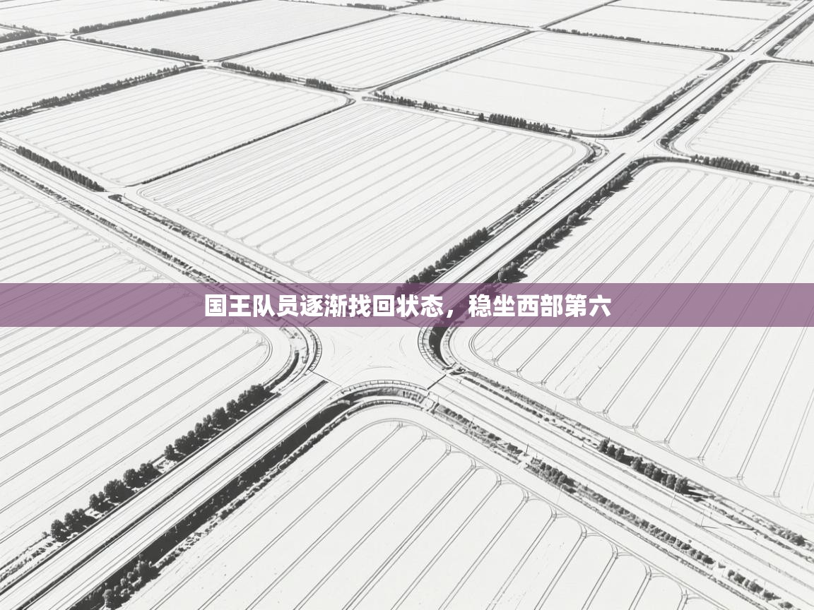 国王队员逐渐找回状态，稳坐西部第六  第2张