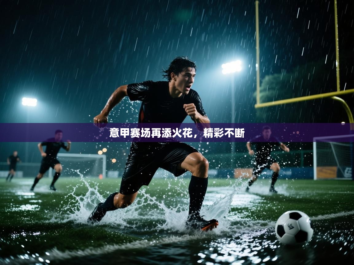 意甲赛场再添火花，精彩不断  第1张