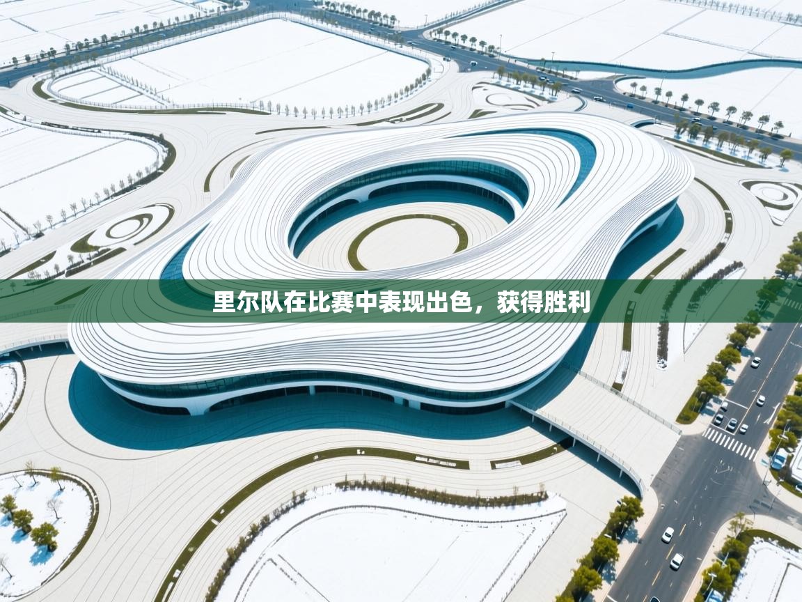 里尔队在比赛中表现出色,获得胜利 第1张