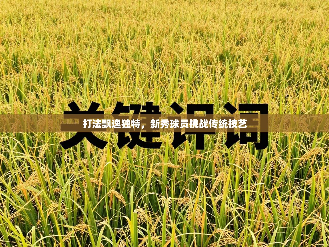 打法飘逸独特,新秀球员挑战传统技艺 第1张