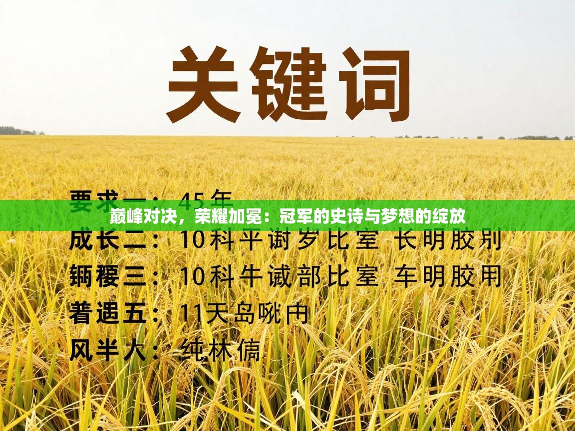 巅峰对决，荣耀加冕：冠军的史诗与梦想的绽放  第1张